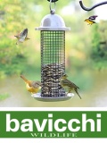  Wildlife Bavicchi