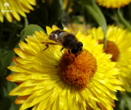 Natura al lavoro