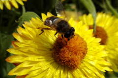 Natura al lavoro