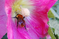 Natura al lavoro