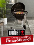 Barbecue Weber